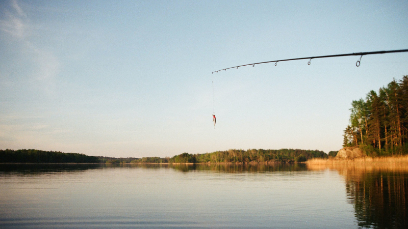 ÖSTERSJÖN OCH FISKEKVOTER