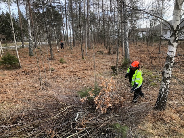 Slyröjning Campus Roslagen
