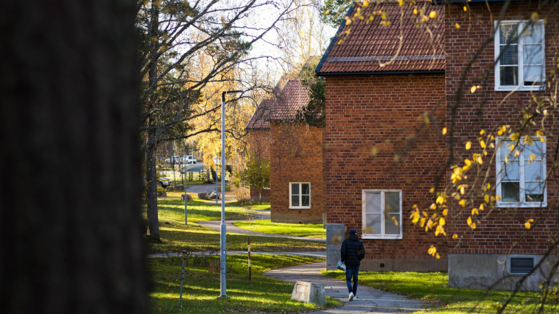 Statistik visar arbetsmarknadens behov och framtidsyrken