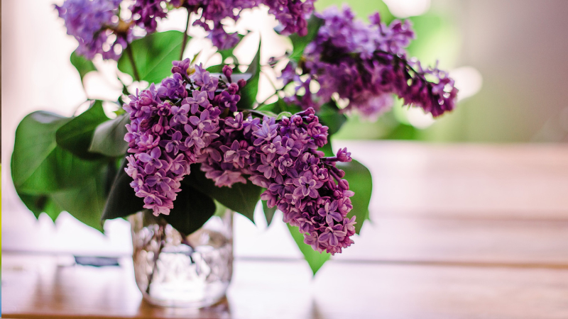 Syrén Campus Roslagen