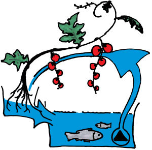 Vill du veta mer om Akvaponi?