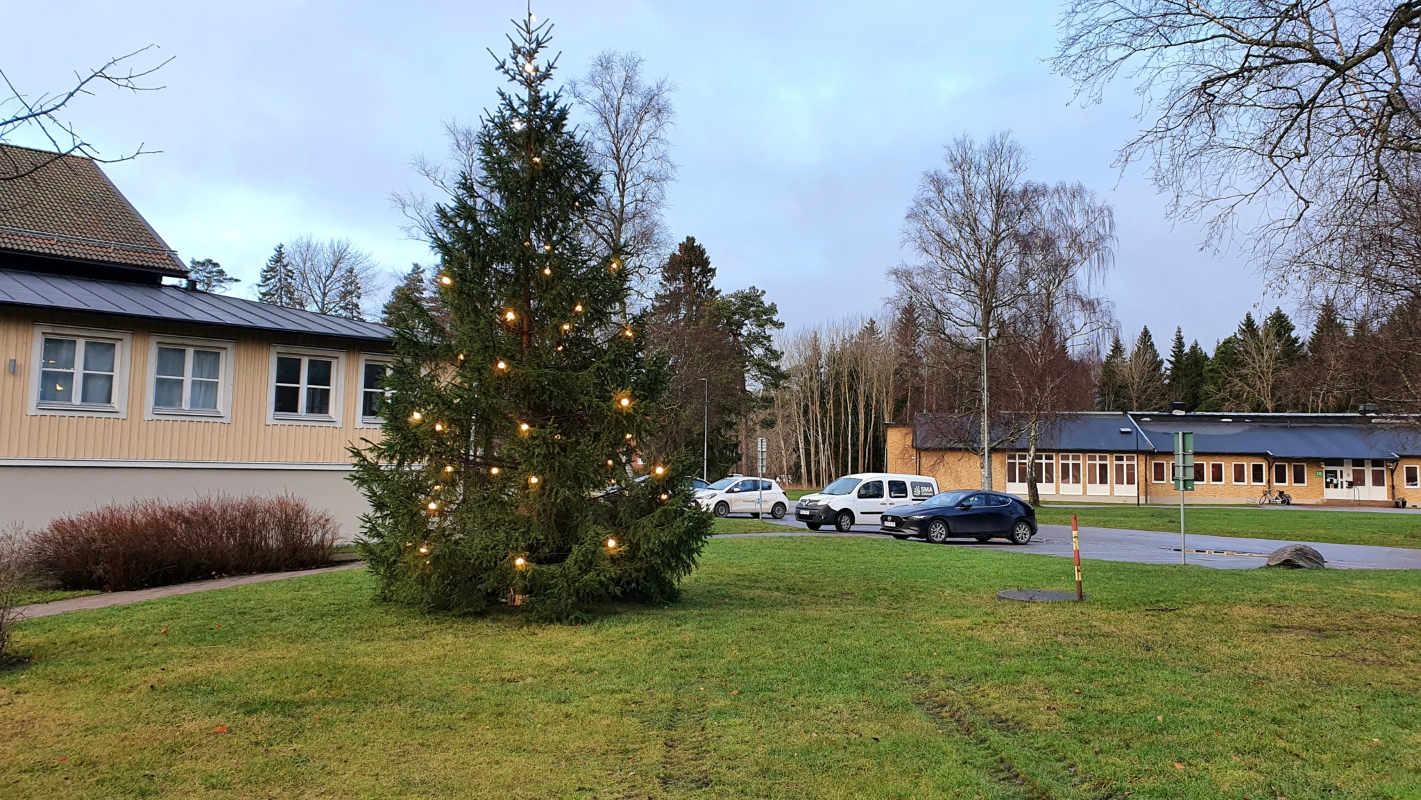 Julgran Campus Roslagen