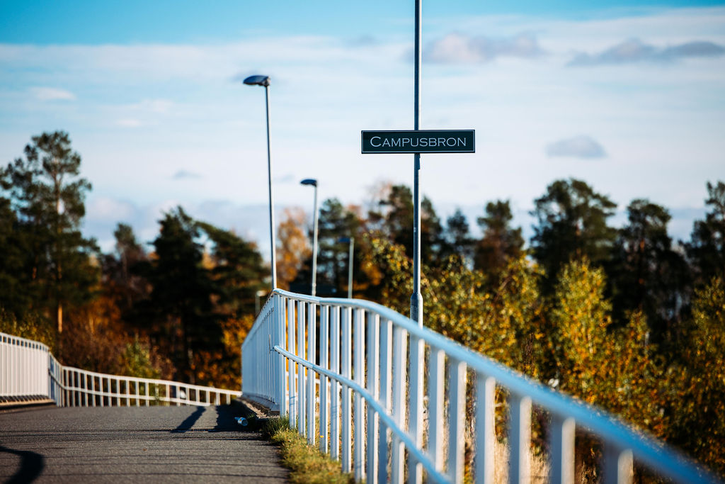 Beviljade utbildningar 2023