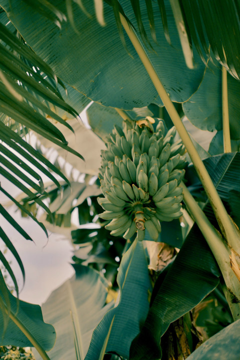 Tango-W Campus Roslagen