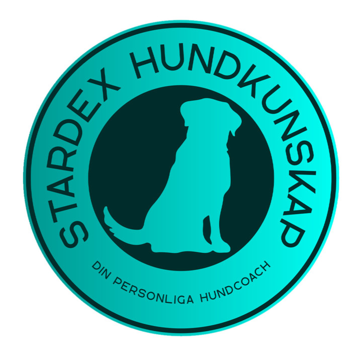 stardex-hundkunskap