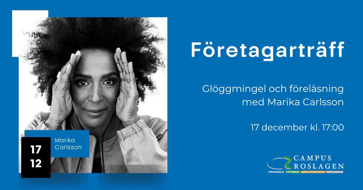 En bild med Marika Carlssons föreläsning på en Företagarträff.