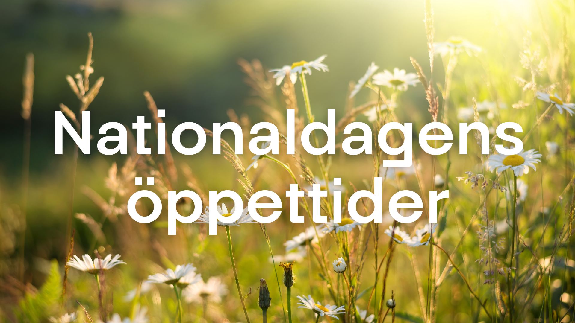 Nationaldagen